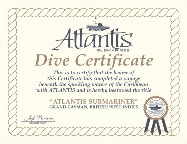 _1300_1dive_cert.jpg